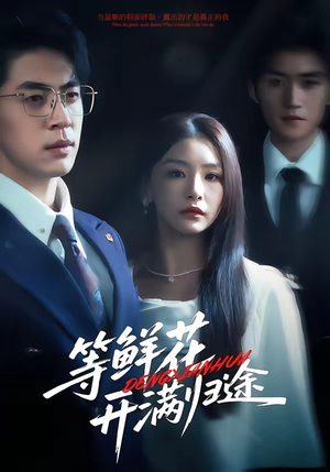 等鲜花开满归途（61集）短剧宝藏全集限免看