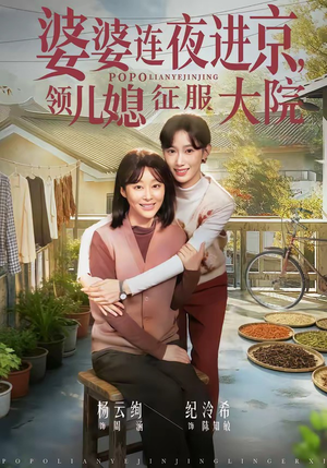 婆婆连夜进京，领儿媳征服大院（78集）短剧结局合集限免刷