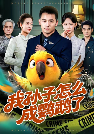 我孙子怎么成鹦鹉了（71集）短剧大结局全集特惠