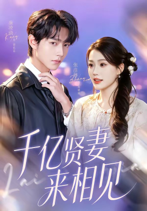 钻石贤妻来相见＆千亿贤妻来相见（72集）短剧全集秒播无卡顿