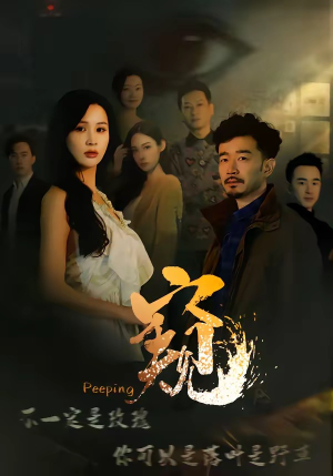 窥＆窥伺（37集）短剧热映全集免费刷
