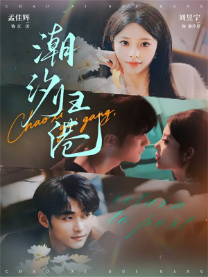 潮汐归港（66集）短剧全系列免费畅享