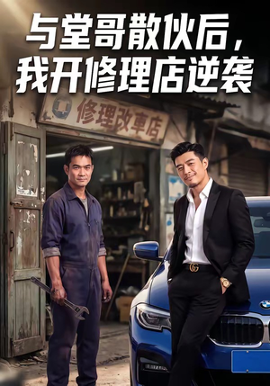 与堂哥散伙后，我开修理店逆袭（40集）短剧合集4K修复版