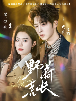 野荷荒长（86集）短剧大结局连更全集