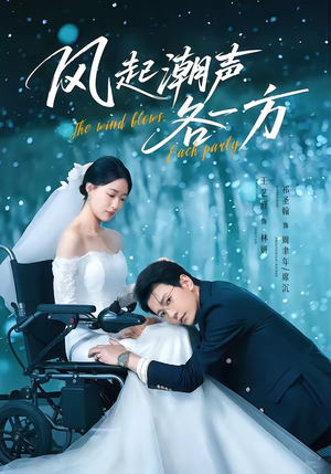 风起潮声各一方（84集）短剧大结局限免特辑