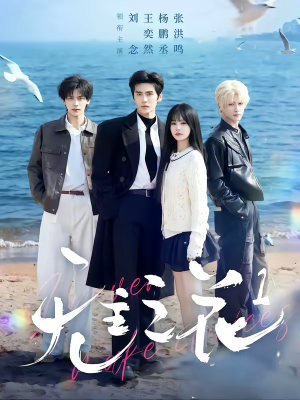 无主之花1（72集）短剧经典全集任你选