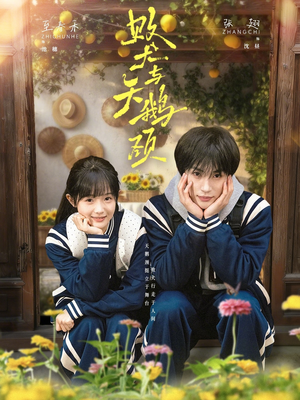 败犬与天鹅颈（71集）短剧最终章免费合集