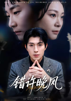 错许晚风（60集）短剧全集高清无码版