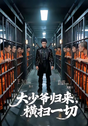 大少爷归来，横扫一切（80集）短剧全剧免费合集