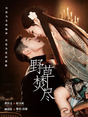 野草焚尽（74集）短剧大结局超前点映