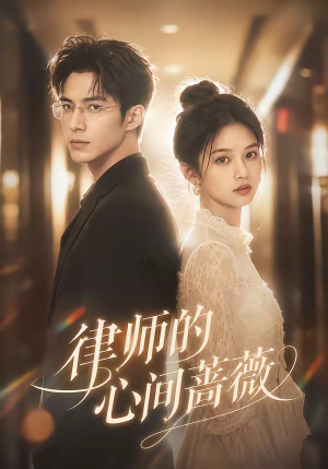 律师的心间蔷薇（59集）短剧全集高清完整版