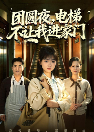 团圆夜，电梯不让我进家门（52集）短剧精选全集无广告