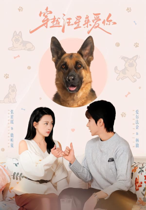 穿越汪星来爱你（62集）短剧全剧终在线连看