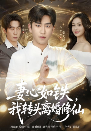 妻心如铁我转头离婚修仙（81集）短剧合集导演剪辑版