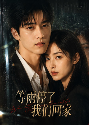 等雨停了,我们回家(10集) 等雨停了,我们回家(10集)短剧结局篇全集直通