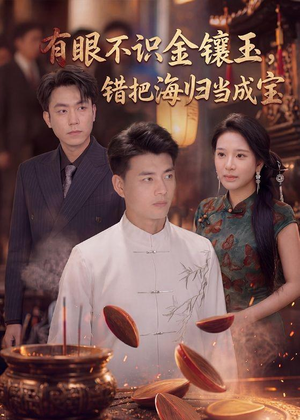 有眼不识金镶玉错把海归当成宝（80集）短剧经典全集任你选