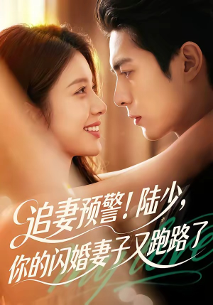 追妻预警！陆少，你的闪婚妻子又跑路了（102集）短剧全集秒播无卡顿