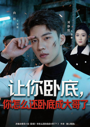 让你卧底，你怎么还卧成大哥了（80集）短剧全剧终在线连看
