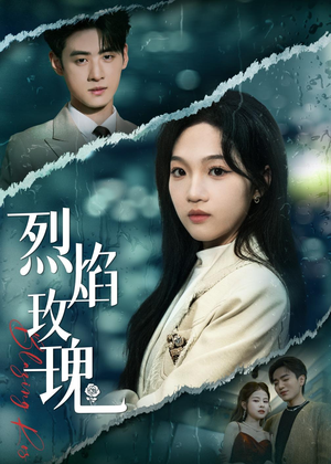 烈焰玫瑰（37集）短剧合集导演剪辑版