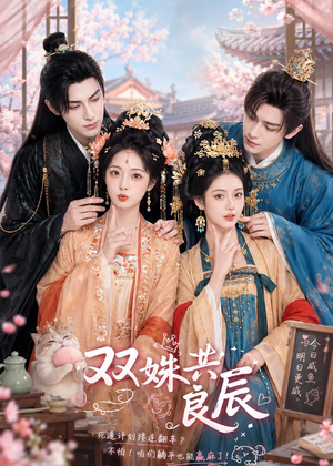 双姝共良辰（50集）短剧合集导演剪辑版