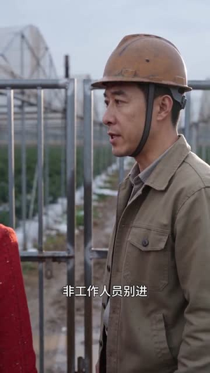 儿媳要房我要果园，冰雹来了见分晓（33集）短剧全集特惠限时看