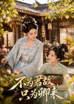 不为君故，只为卿来（60集）短剧合集杜比音效版