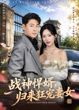 战神悍婿，归来狂宠妻女（83集）短剧全集高清完整版