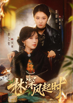 林深风起时（63集）短剧热播全集免费追