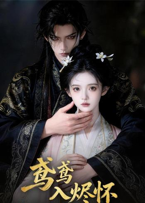 鸢鸢入烬怀（15集）短剧大结局超前点映