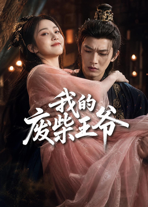 我的废柴王爷（31集）短剧全集高清完整版