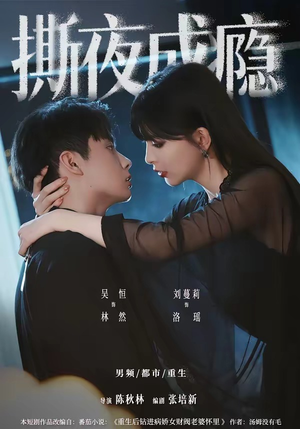 撕夜成瘾（74集）短剧大结局全集解锁