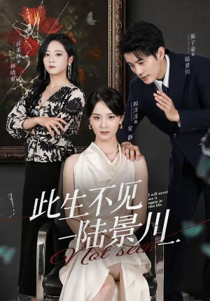 此生不见陆景川（66集）短剧全集高清无码版