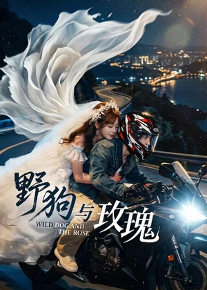 野狗与玫瑰（30集）短剧终章免费大放送