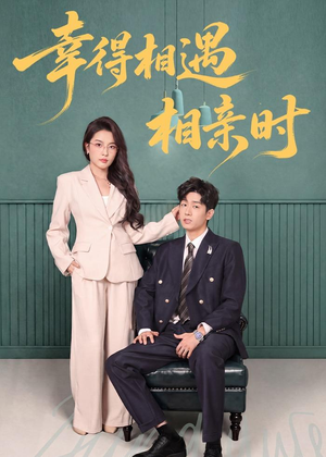 幸得相遇相亲时（80集）短剧精选全集无广告