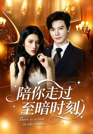 陪你走过至暗时刻（80集）短剧合集4K修复版