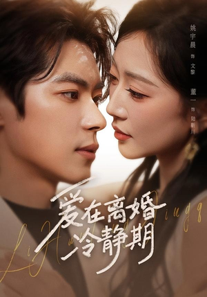 爱在离婚冷静期(73集) 爱在离婚冷静期(73集)短剧大结局限免特辑