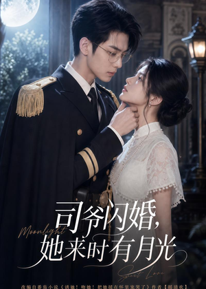 司爷闪婚,她来时有月光(93集) 司爷闪婚,她来时有月光(93集)短剧热映全集免费刷