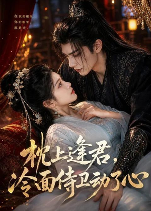 枕上逢君，冷面侍卫动了心（92集）短剧热映全集免费刷