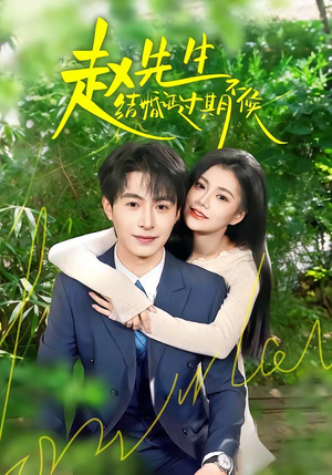 赵先生结婚证过期不候（50集）短剧大结局全集特惠