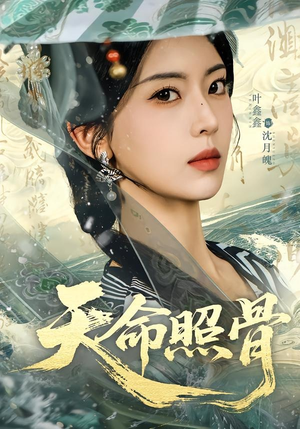 天命照骨（81集）短剧经典全集任你选