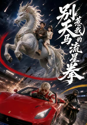 别惹我的天马流星拳（40集）短剧最终回限免畅看
