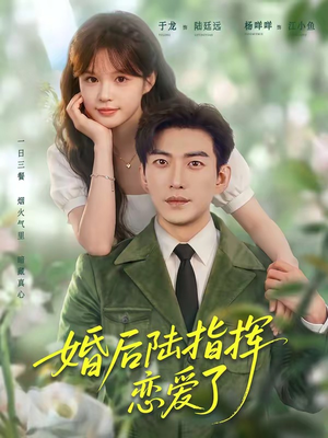 婚后陆指挥沦陷了（89集）短剧全集解锁零收费