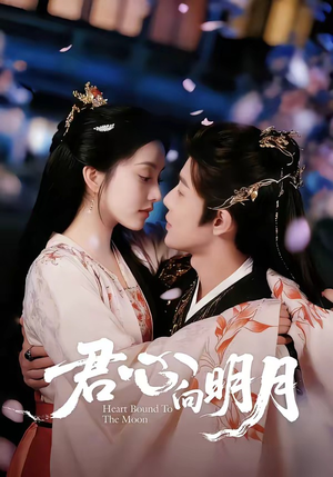 君心向明月（60集）短剧终极大放送合集
