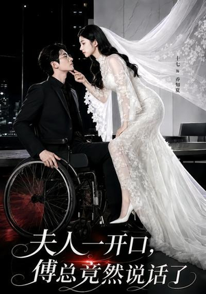 夫人一开口，傅总竟然说话了（60集）短剧热播全集免费追