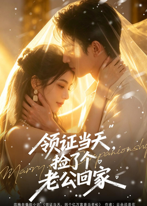 领证当天,捡了个老公回家(80集) 领证当天,捡了个老公回家(80集)短剧全剧终限免合集