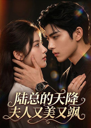 陆总的天降夫人又美又飒（80集）短剧最终回限免畅看