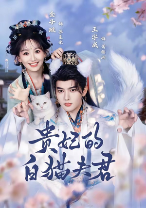 贵妃的白猫夫君（81集）短剧全集VR沉浸版