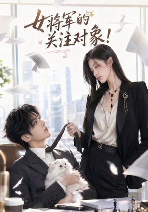 女将军的关注对象（61集）短剧合集蓝光画质