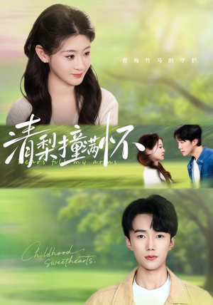 清梨撞满怀（77集）短剧完整版全集放送