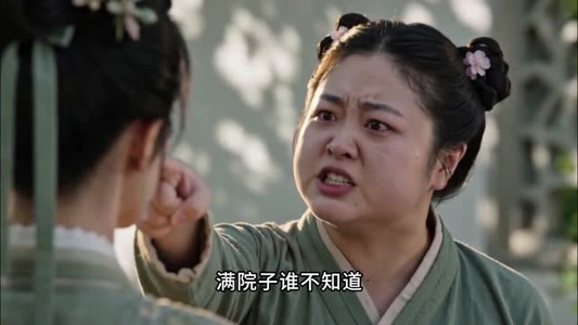 烧火丫头逆袭记（22集）短剧合集彩蛋完整版